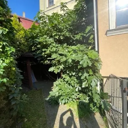 فندق Boncza شتشيتسين