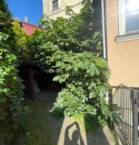 Hotel Boncza Estetino